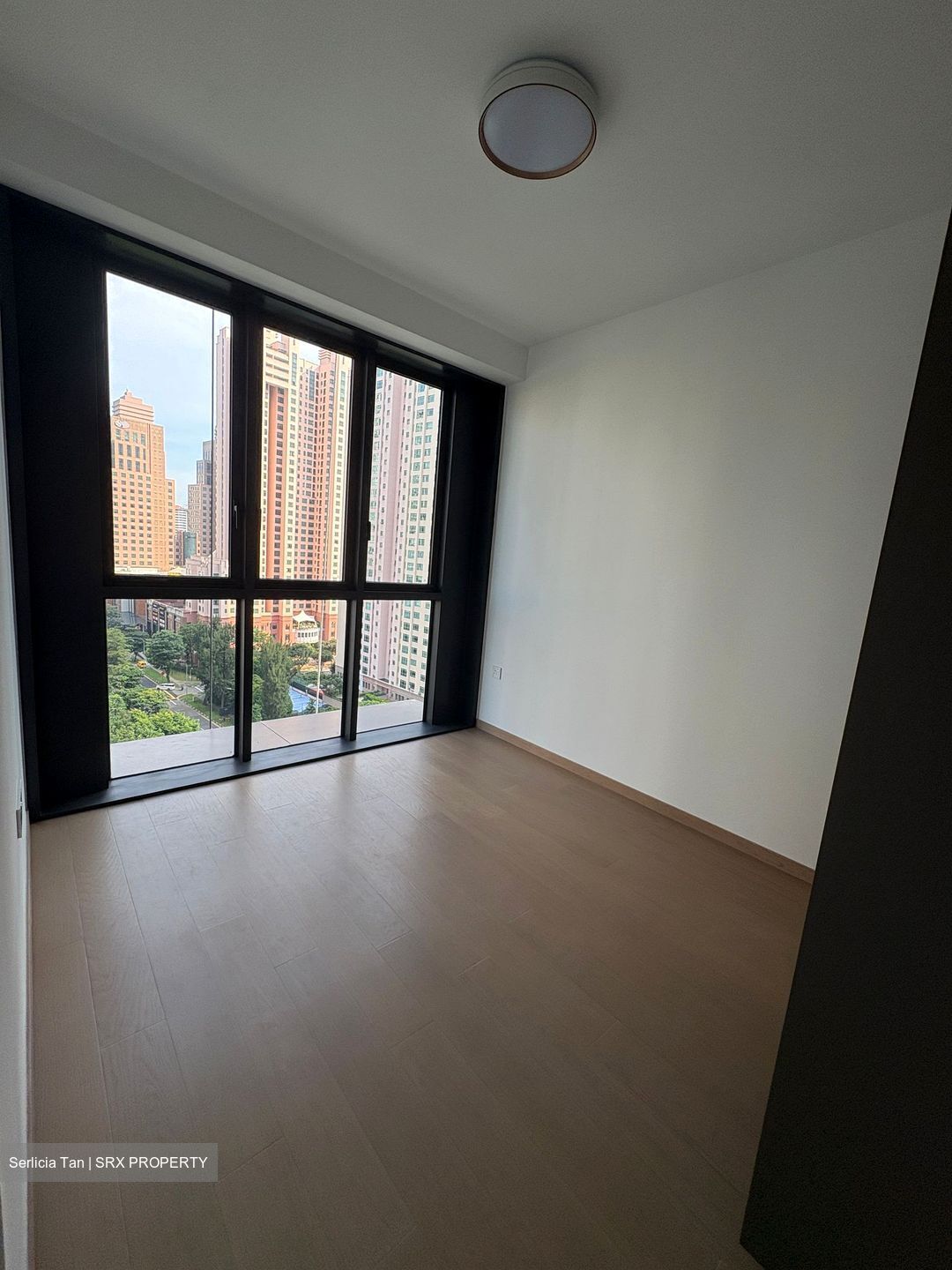 Irwell Hill Residences (D9), Apartment #452637811